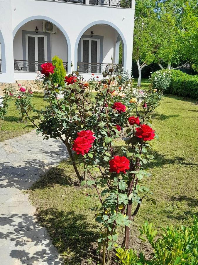 Artemis Studios & Apartments Sidari Екстериор снимка