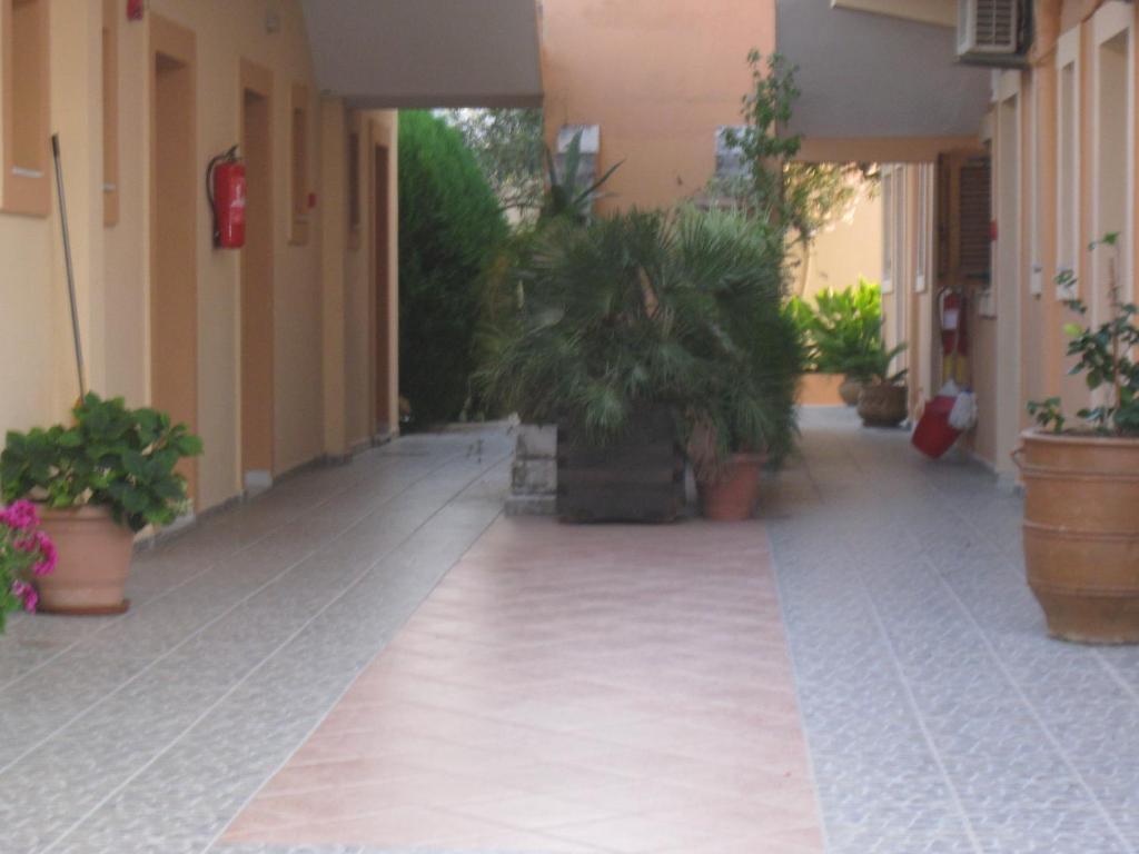 Artemis Studios & Apartments Sidari Екстериор снимка